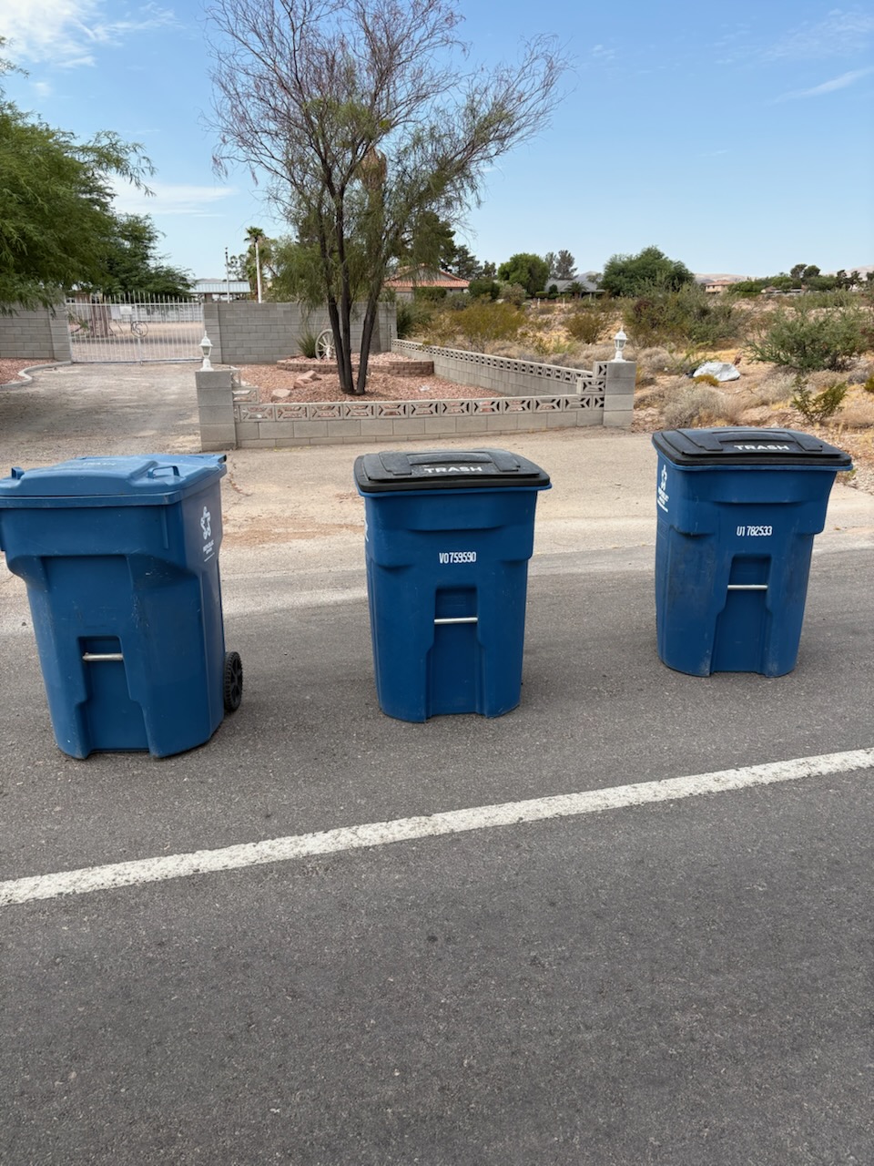 Three residential trash bins arranged at the curb for collection in Las Vegas